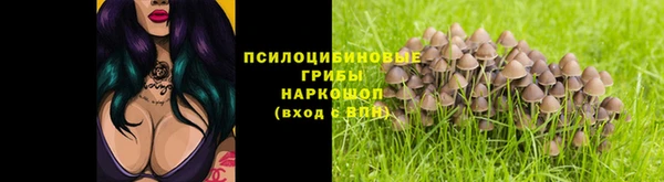 бошки Новозыбков