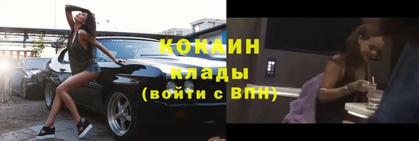 бошки Новозыбков