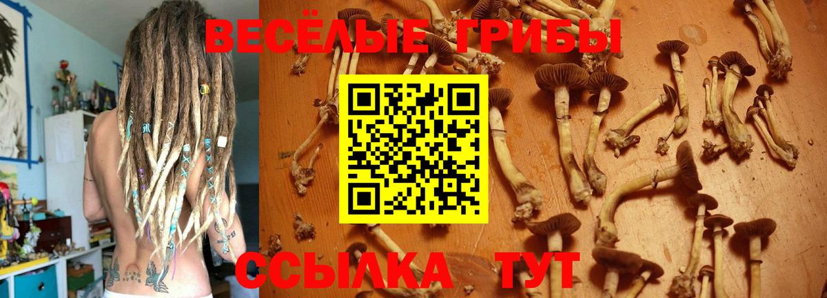 продажа наркотиков  Вход с VPN  Лысьва  Псилоцибиновые грибы Psilocybe 